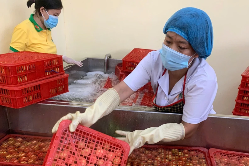 Thứ trưởng Võ Văn Hưng: Doanh nghiệp khoa học dẫn dắt nông nghiệp hiện đại