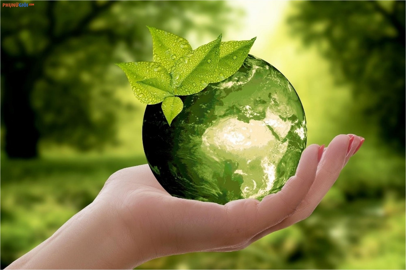 Vai trò của báo chí trong truyền thông về môi trường