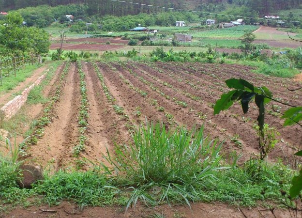 Đầy mạnh công tác tuyên truyền của báo chí truyền thông về Luật Đất đai (sửa đổi)