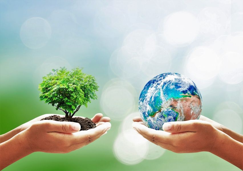 Vai trò của báo chí trong truyền thông về môi trường