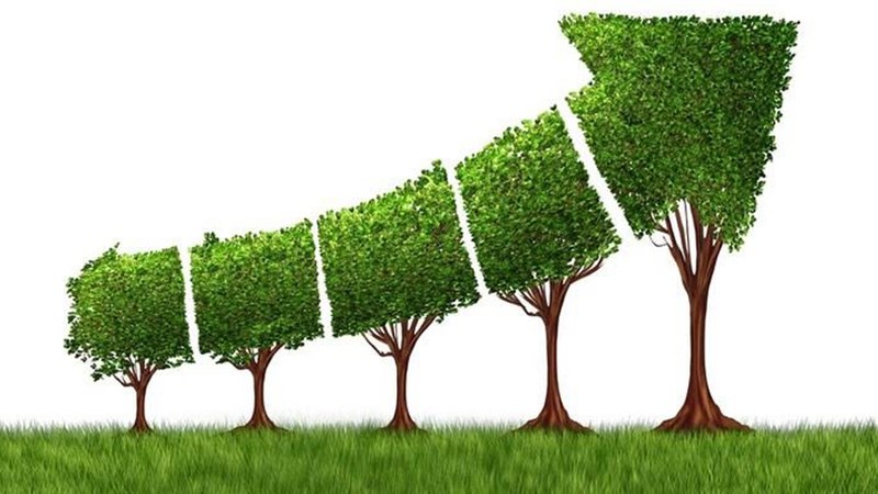 Phát triển kinh tế xanh để bảo vệ môi trường