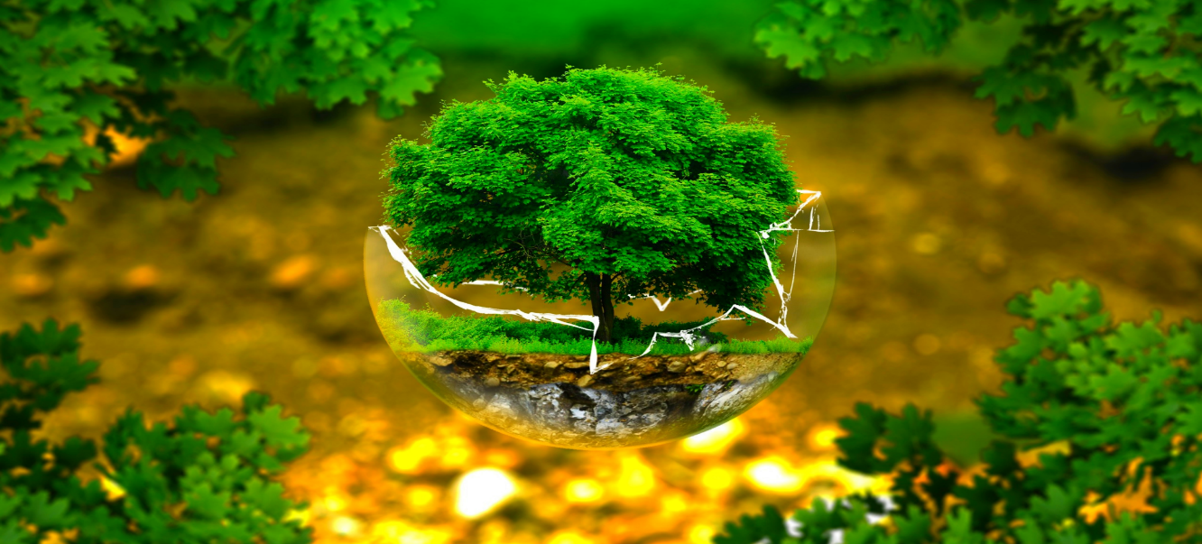 Vai trò của báo chí trong truyền thông về môi trường