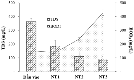 Nghiên cứu hiệu quả xử lí nước thải nhà hàng bằng khu đất ngập nước, dòng chảy mặt trồng cây bách thủy tiên 