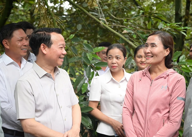 Kiểm soát sầu riêng từ gốc, tránh tình trạng bị trả hàng