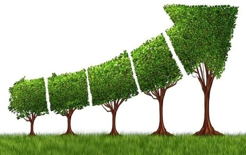 Sẽ ban hành bộ tiêu chí về phân loại xanh và hệ thống ngành kinh tế xanh
