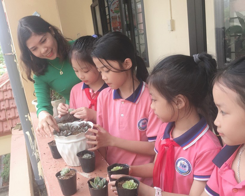 Học sinh Lào Cai đổi gần 5 tấn phế liệu lấy cây xanh