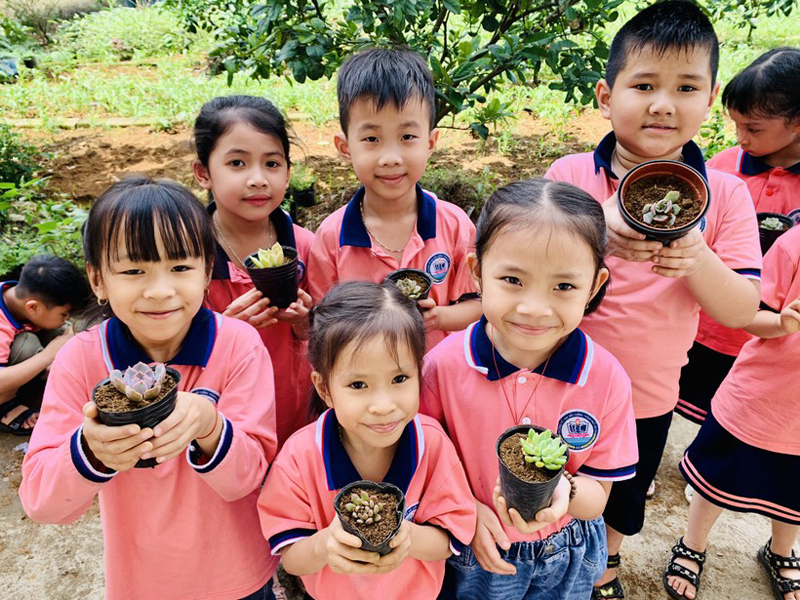 Học sinh Lào Cai đổi gần 5 tấn phế liệu lấy cây xanh