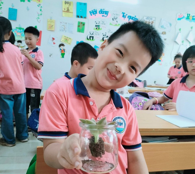 Học sinh Lào Cai đổi gần 5 tấn phế liệu lấy cây xanh