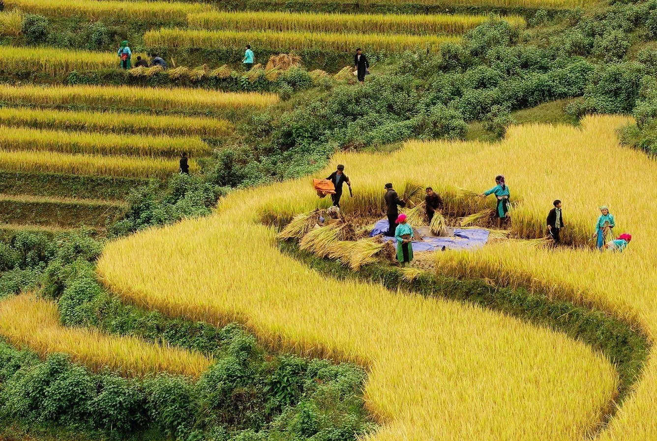 Luật Đất đai năm 2024 tạo thuận lợi cho người nông dân và đồng bào dân tộc thiểu số 