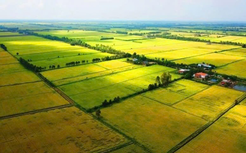 Luật Đất đai, động lực thể chế để vốn hóa hiệu quả tài nguyên đất đai