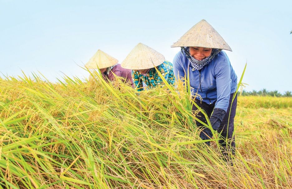 Chính sách bảo đảm “người cày có ruộng” trong điều kiện sử dụng đất nông nghiệp ứng dụng công nghệ cao