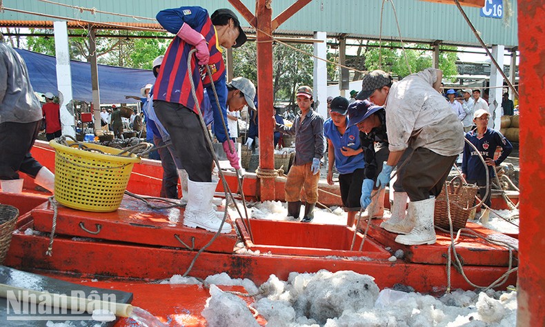 Kiên Giang với hành trình tiến ra biển