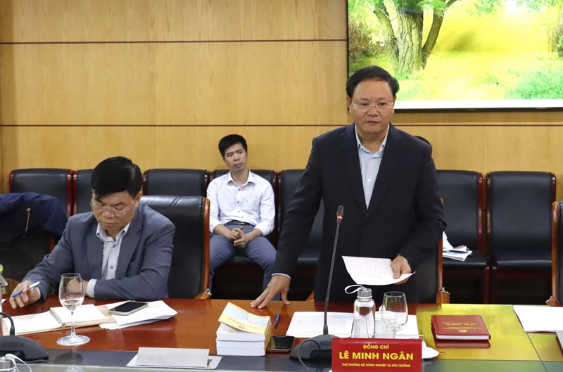 Đảm bảo nhu cầu sử dụng đất để phát triển bền vững