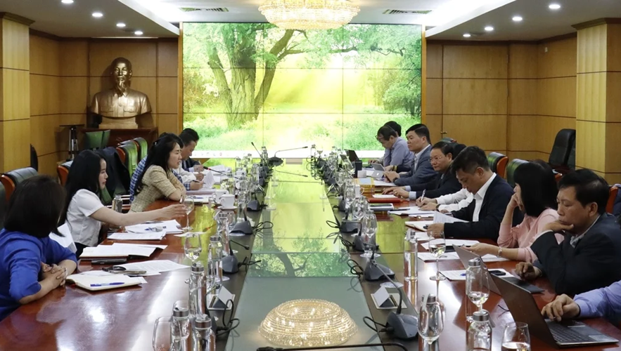 Đảm bảo nhu cầu sử dụng đất để phát triển bền vững