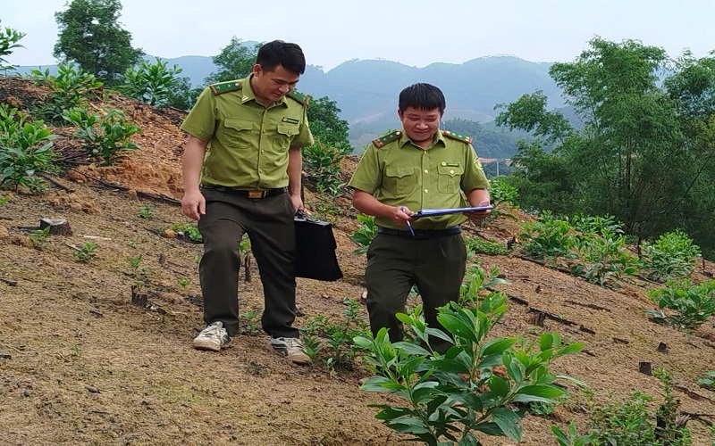 Tuyên Quang: Kiểm lâm chủ động giữ rừng, gắn với phát triển vùng dân tộc