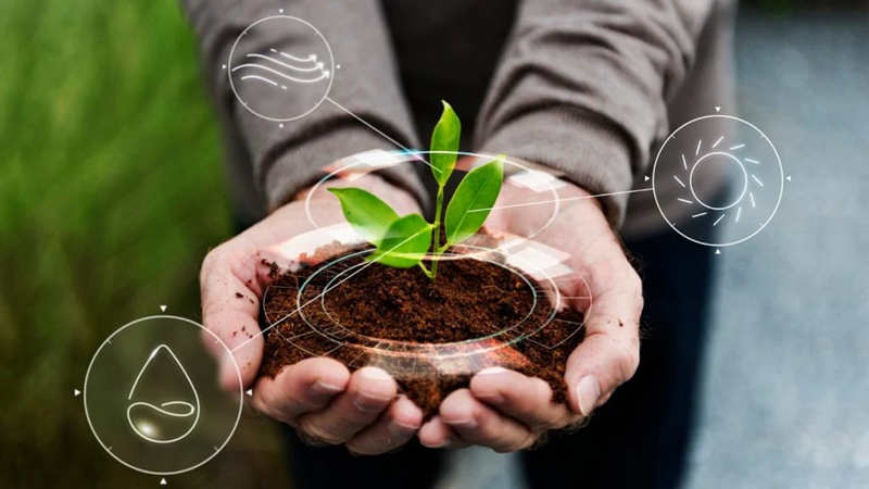 Bộ Nông nghiệp và Môi trường triển khai kế hoạch đột phá khoa học công nghệ