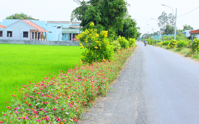 Bảo đảm môi trường xanh  trong xây dựng nông thôn mới