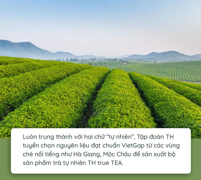 Quy trình làm ra chai trà hoàn toàn tự nhiên chinh phục cộng đồng healthy
