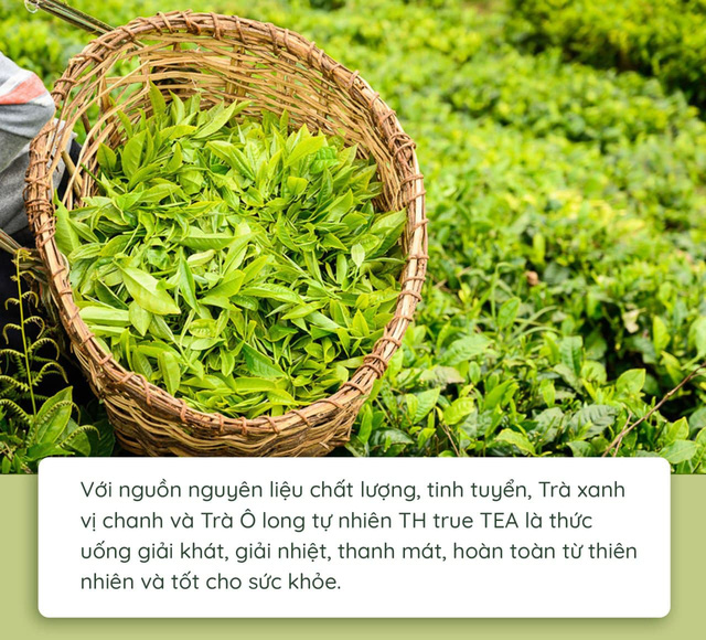 Quy trình làm ra chai trà hoàn toàn tự nhiên chinh phục cộng đồng healthy