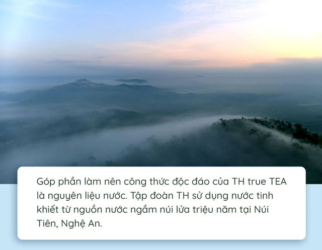 Quy trình làm ra chai trà hoàn toàn tự nhiên chinh phục cộng đồng healthy