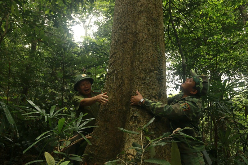 Ông Trần Quốc Tuấn - Giám đốc Sở Nông nghiệp và Môi trường tỉnh Quảng Trị: “Nguồn chi trả từ tín chỉ các-bon giúp công tác bảo vệ rừng tốt hơn”  