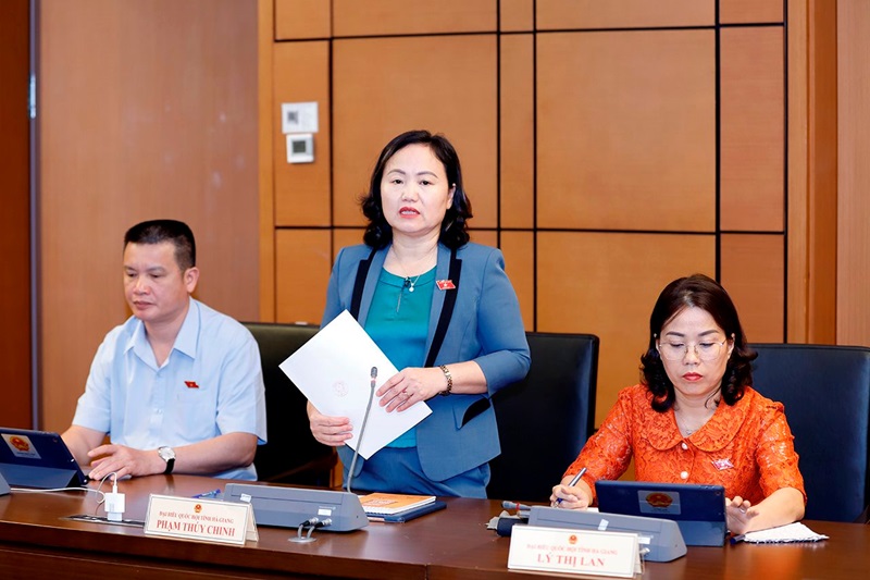 Ủng hộ chủ trương để Luật Đất đai và 3 luật khác sớm đi vào cuộc sống tạo động lực cho phát triển kinh tế - xã hội