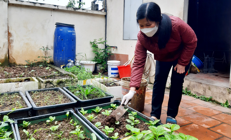 Hà Nội: Phụ nữ trong bảo vệ môi trường, ứng phó với biến đổi khí hậu