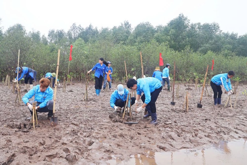 Thái Bình: Trồng 1.500 cây bần chua tại Khu bảo tồn đất ngập nước Thái Thụy
