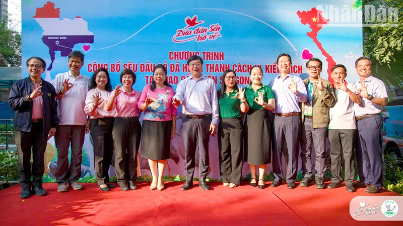 Sáu cá thể sếu đầu đỏ đã được đưa về Vườn quốc gia Tràm Chim