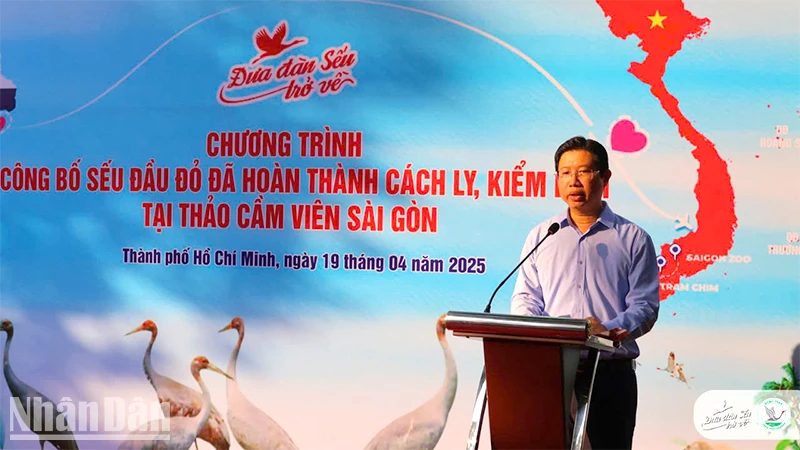 Sáu cá thể sếu đầu đỏ đã được đưa về Vườn quốc gia Tràm Chim
