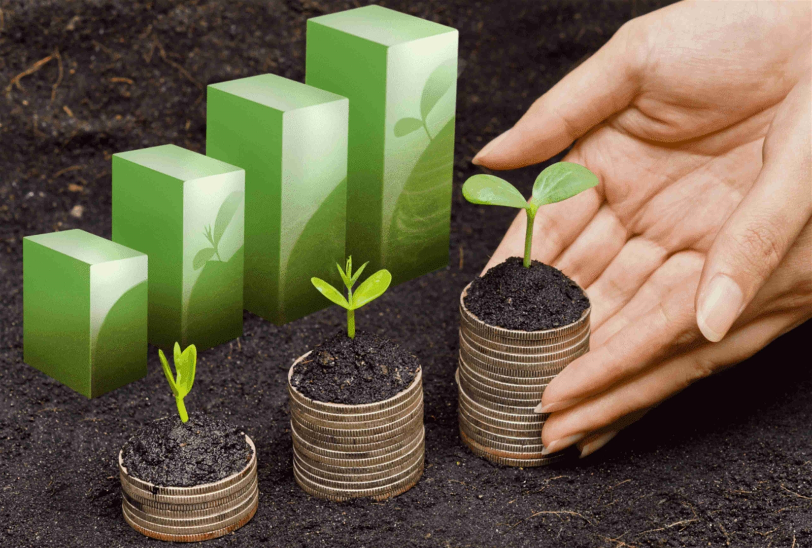 Tín dụng xanh là giải pháp hiệu quả để giảm nhẹ thiệt hại do biến đổi khí hậu