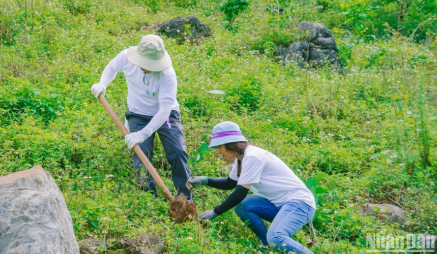 Chung tay hành động để “Rừng xanh lên”