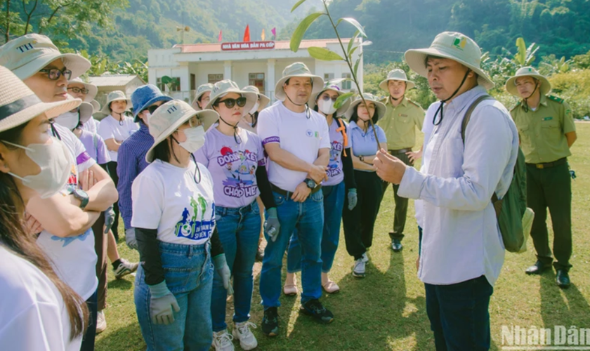 Chung tay hành động để “Rừng xanh lên”
