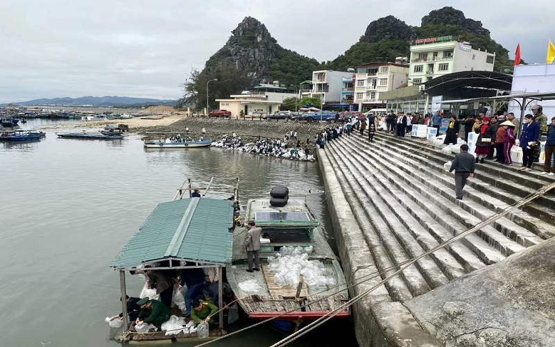 Thả giống ra biển, tái tạo nguồn lợi dưới đáy đại dương