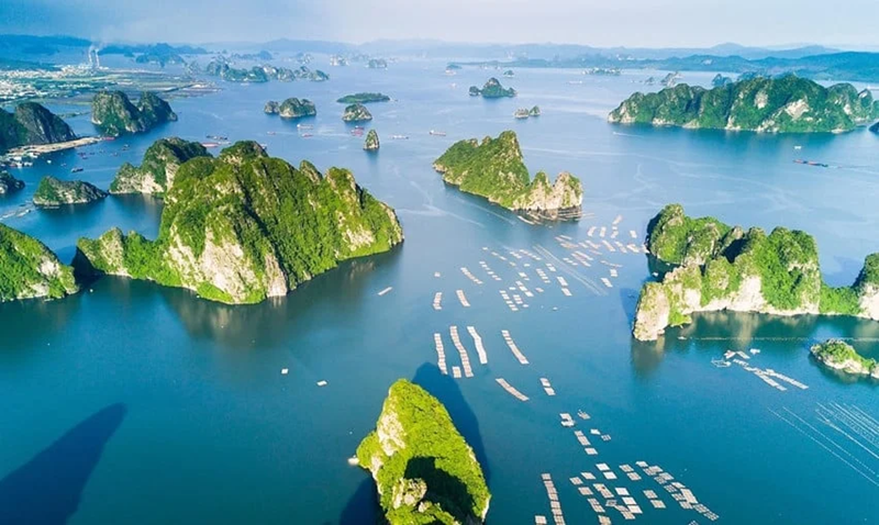 Đề xuất phân cấp 86 thẩm quyền của Bộ trưởng Bộ Nông nghiệp và Môi trường cho cấp tỉnh