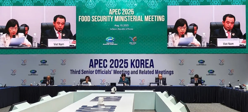 Việt Nam đưa bốn đề xuất hợp tác an ninh lương thực tại APEC