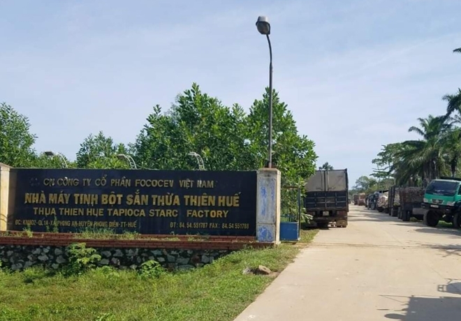 Điểm lại những doanh nghiệp ngành Sắn vi phạm môi trường