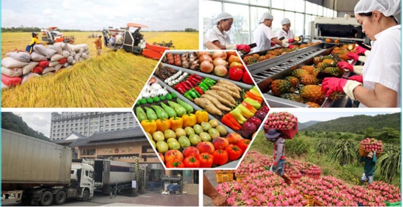 Đơn giản hóa thủ tục hành chính về nông nghiệp và môi trường