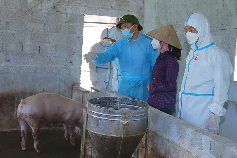 Thứ trưởng Phùng Đức Tiến 'cầm tay chỉ việc' dập dịch tả lợn Châu Phi