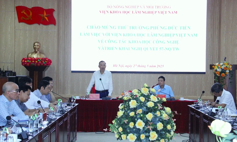 Dồn lực triển khai hiệu quả Nghị quyết 57-NQ/TW trong lâm nghiệp