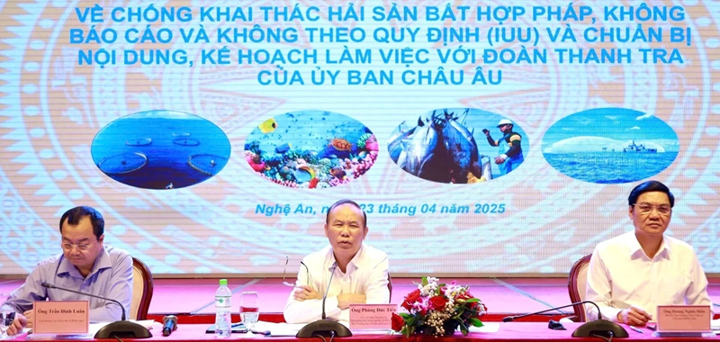 'Đây là thời cơ vàng để ngành thủy sản tháo gỡ thẻ phạt của EC'