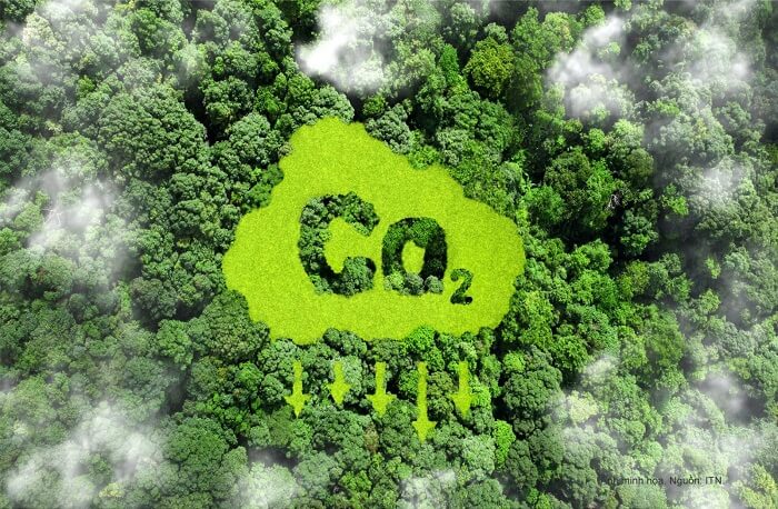 Năm 2025: Hoàn thiện và vận hành thí điểm sàn giao dịch tín chỉ carbon 