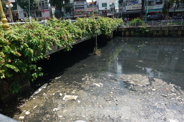 Cá chết, rác thải nổi trên kênh Nhiêu Lộc - Thị Nghè