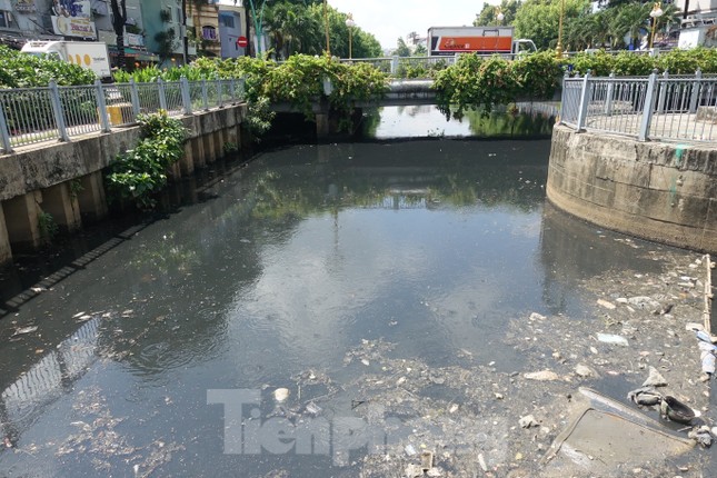 Cá chết, rác thải nổi trên kênh Nhiêu Lộc - Thị Nghè
