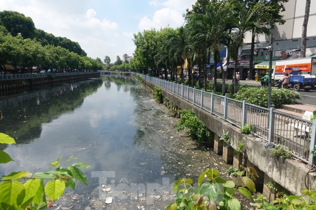 Cá chết, rác thải nổi trên kênh Nhiêu Lộc - Thị Nghè