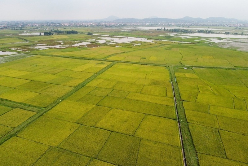 Nam Sudan, Nepal tìm hiểu kinh nghiệm phát triển nông thôn bền vững của Việt Nam