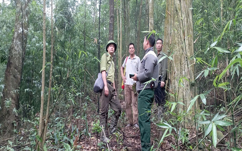 Tuyên Quang: Kiểm lâm chủ động giữ rừng, gắn với phát triển vùng dân tộc