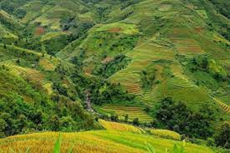 Bài 6: Giao đất, cho thuê đất thông qua đấu giá quyền sử dụng đất, đấu thầu dự án có sử dụng đất và các trường hợp không đấu giá quyền sử dụng đất