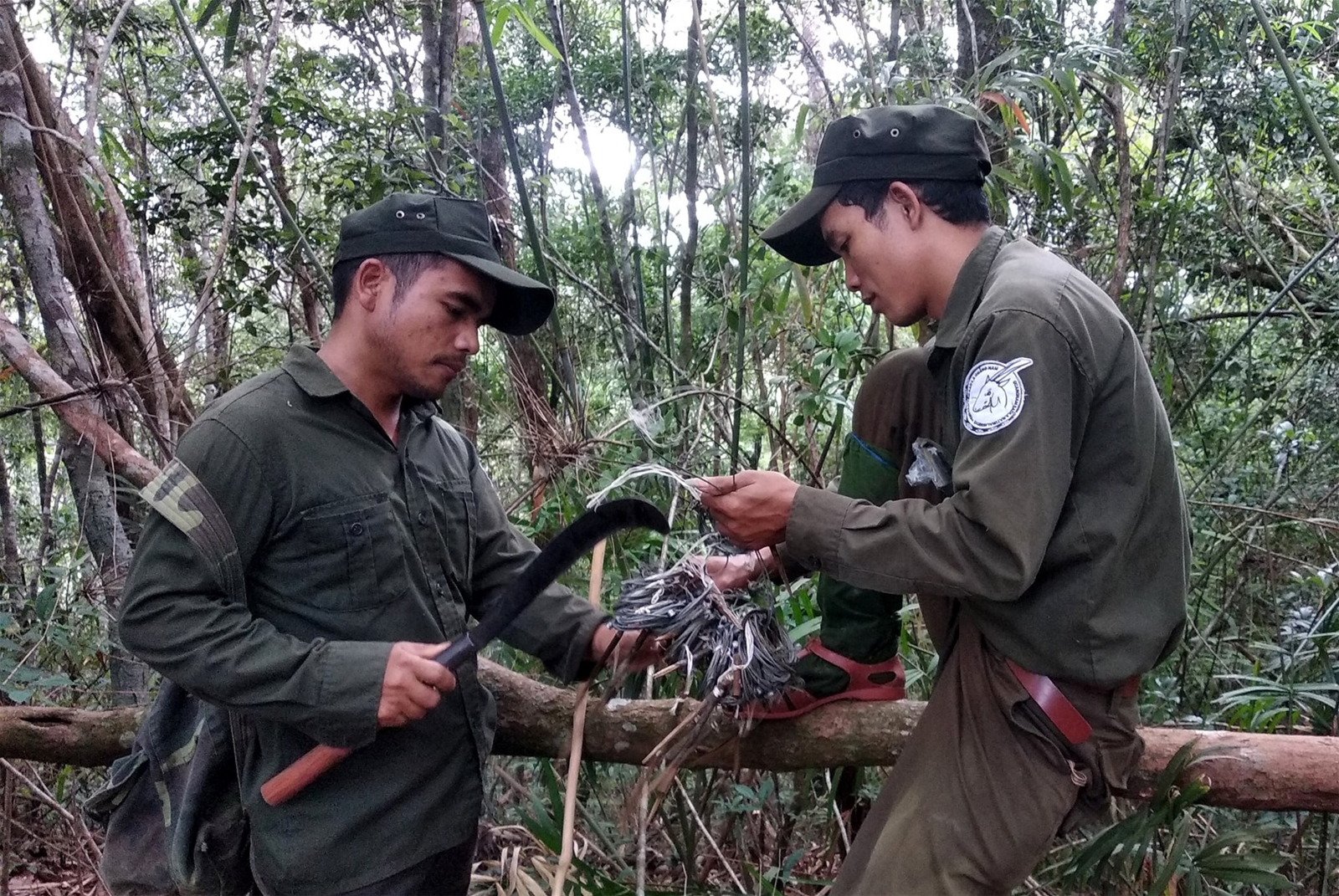 Quảng Nam tiên phong bảo tồn đa dạng sinh học