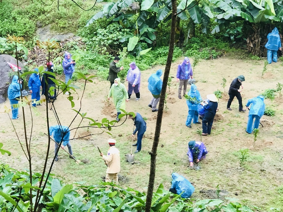 Tạp chí Tài nguyên và Môi trường trồng 1005 cây xanh tại chùa Kim Dung, Hà Tĩnh